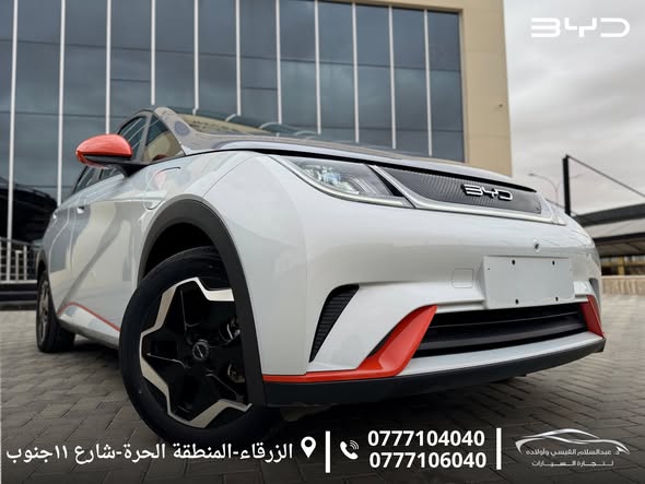 بي واي دي دولفين 2022 - صورة 3