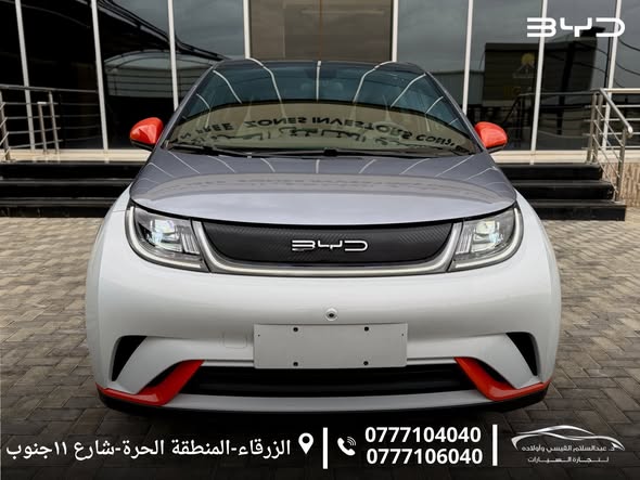 بي واي دي دولفين 2022 - صورة 4