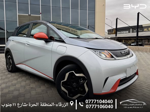 بي واي دي دولفين 2022 - صورة 5