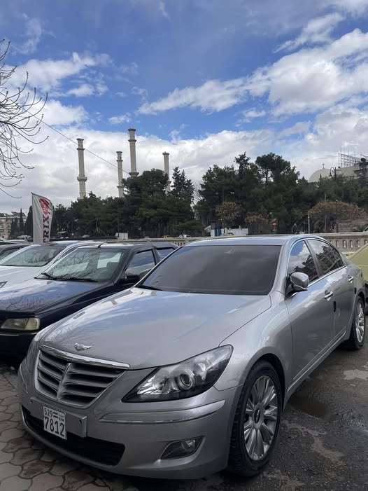 جنسيس جنسيس 2010