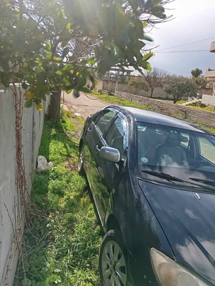 بي واي دي اف 3 2012