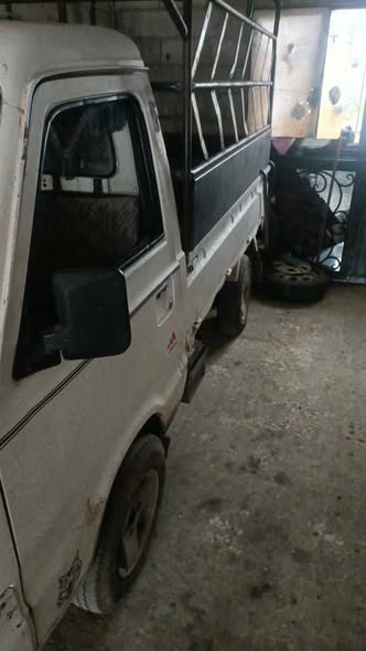 شانا قطة 2006 - صورة 1