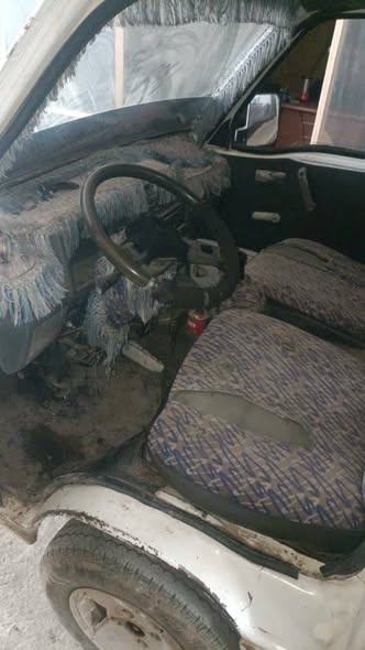 شانا قطة 2006 - صورة 2