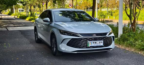 بي واي دي كين 2024 - صورة 2