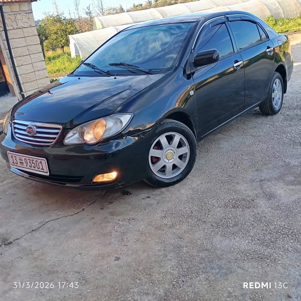 بي واي دي اف 3 2010 - صورة 2