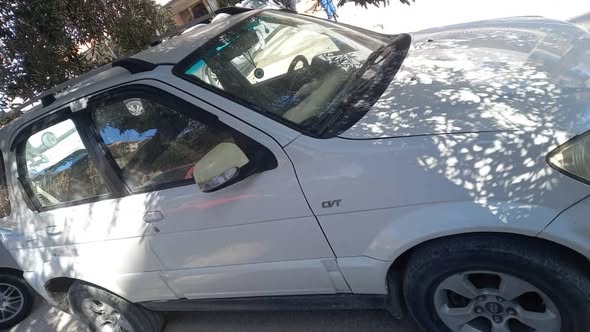 زوتي نوماد 2011