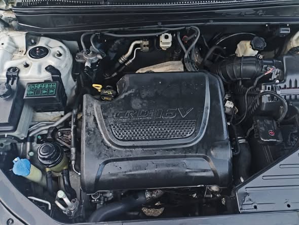 شانا سي ام 2010 - صورة 1