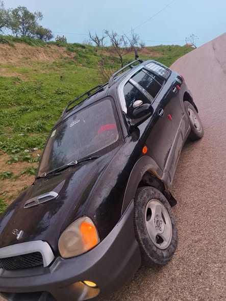 هيونداي سنتافي 2001 - صورة 4