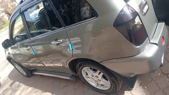 شيري تيكو 2010 - صورة 1