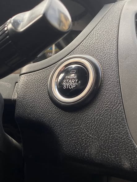 سايبا ساينا 2020 - صورة 5