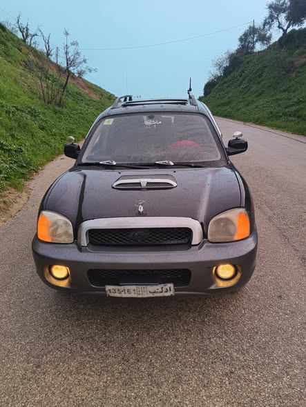 هيونداي سنتافي 2001 - صورة 1