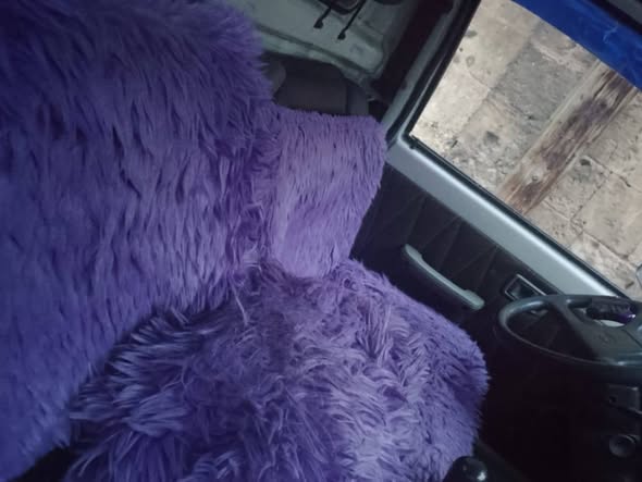 آسيا بيك أب 1994 - صورة 2