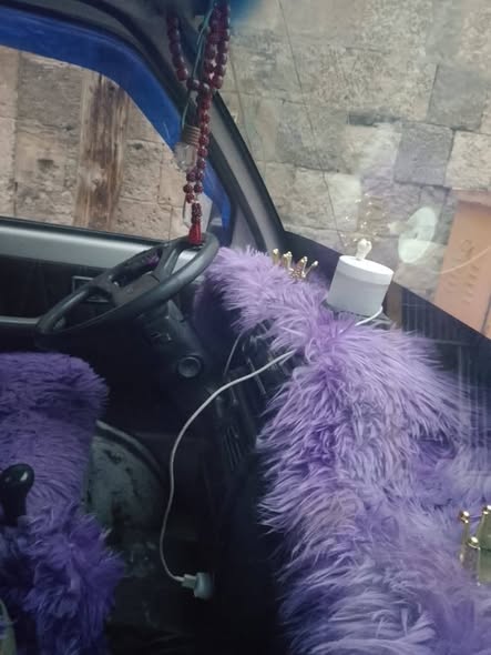 آسيا بيك أب 1994 - صورة 3