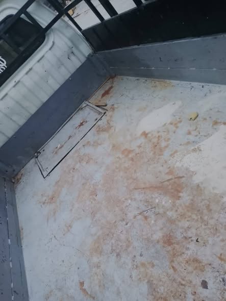 آسيا بيك أب 1994 - صورة 5