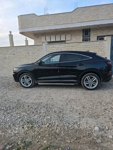 دي اف اس كيه 580 2020 - صورة 3