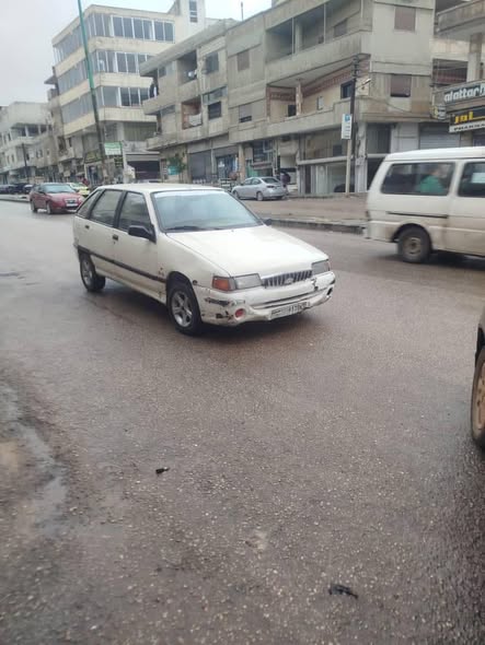 شيري فلوريدا 2003