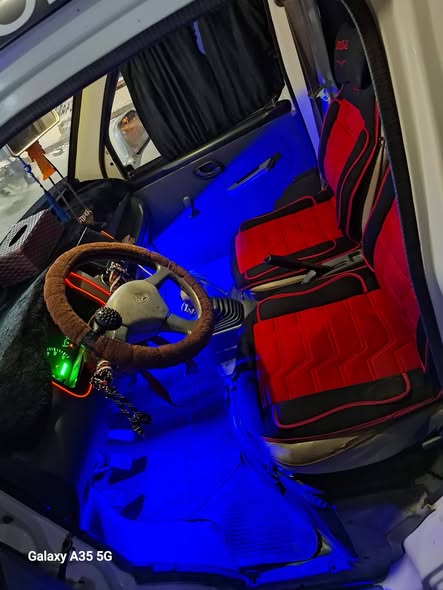 شانا شفر 2011 - صورة 4