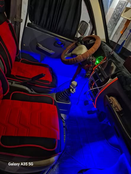 شانا شفر 2011 - صورة 5