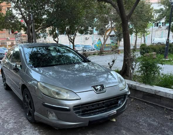 بيجو ٤٠٧ 2005 - صورة 1