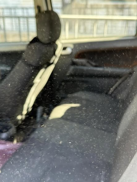 فورد إيكو سبورت 2007 - صورة 2