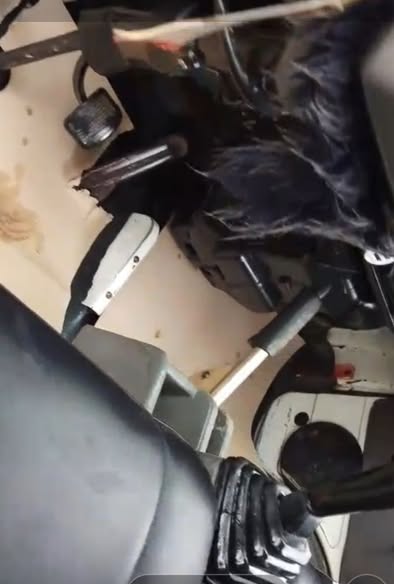 شانجي ترافرس 2007 - صورة 3