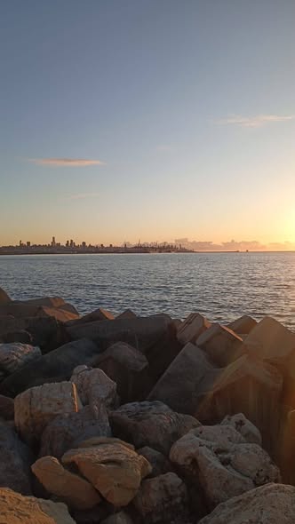 كيا موهافي 2017 - صورة 5