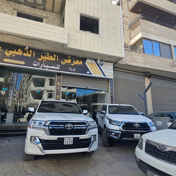 تويوتا لاندكروزر 2011 - صورة 1