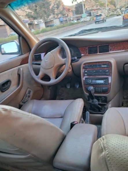 شام شام 2009 - صورة 1