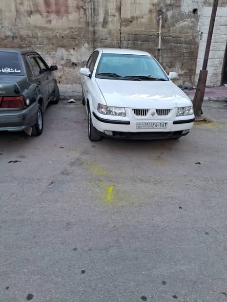 شام شام 2009 - صورة 5