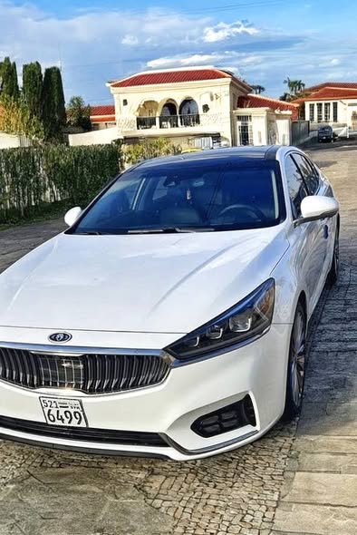 كيا كادينزا 2019 - صورة 1