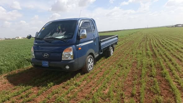 هيونداي بورتر 2008 - صورة 2