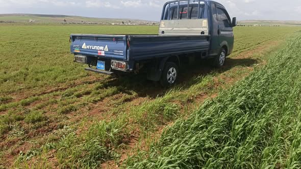 هيونداي بورتر 2008 - صورة 5