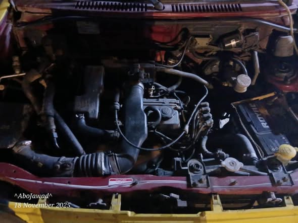 سايبا سابا 2009 - صورة 2