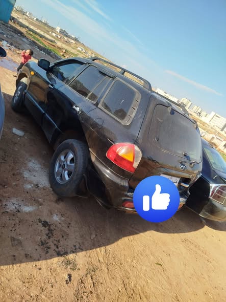 هيونداي سنتافي 2004 - صورة 4