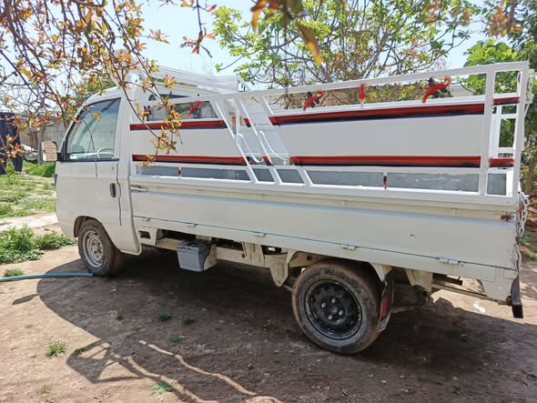 هافي سونك 2011 - صورة 2