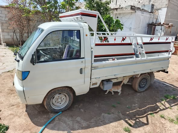 هافي سونك 2011 - صورة 3