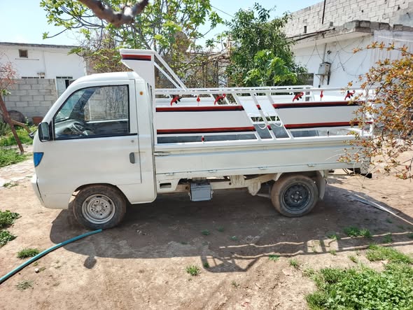 هافي سونك 2011 - صورة 5