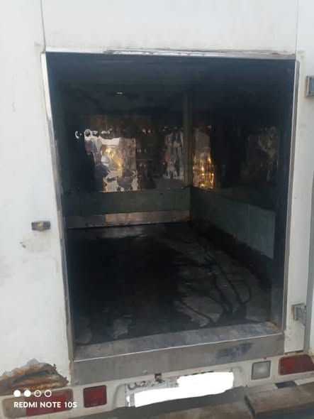 هافي ميني 2011 - صورة 5