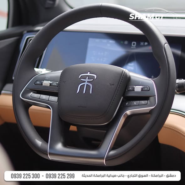 بي واي دي سونغ ال 2025 - صورة 5