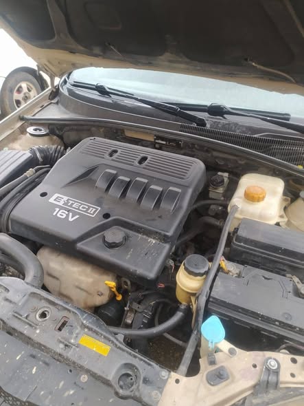 شفر لاستي 2008 - صورة 3