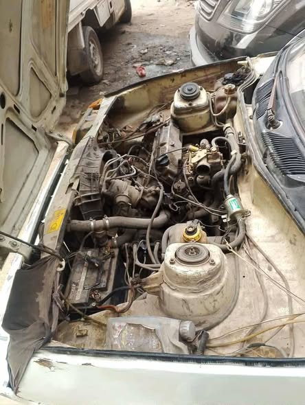 دايو بيك اب 2003 - صورة 2