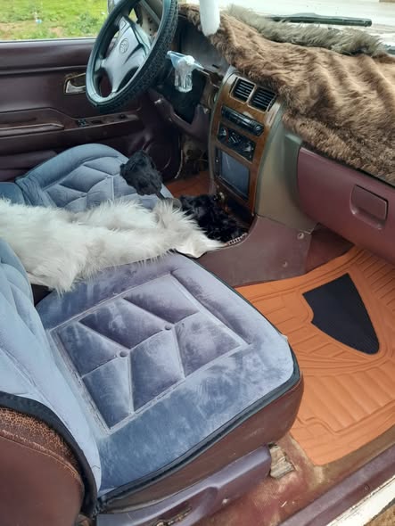 غريت وول دير 2009 - صورة 3