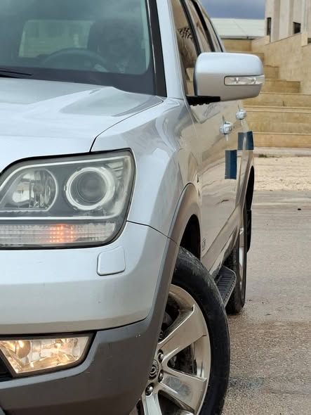 كيا مهافي 2010 - صورة 2