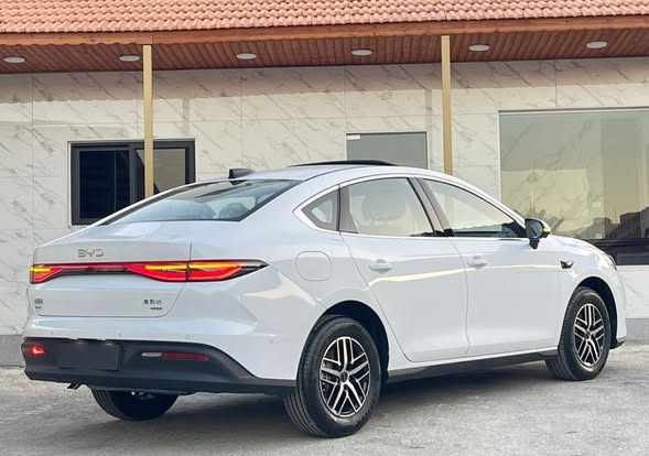 بي واي دي سيل 05 2025 - صورة 5