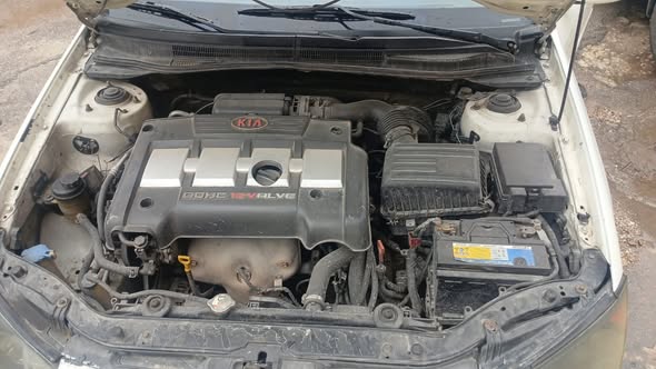 كيا سيراتو 2006 - صورة 4