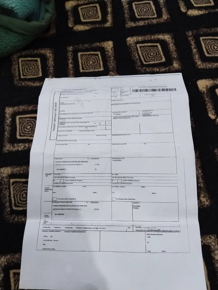 ميتسوبيشي بيكاب 2009 - صورة 5