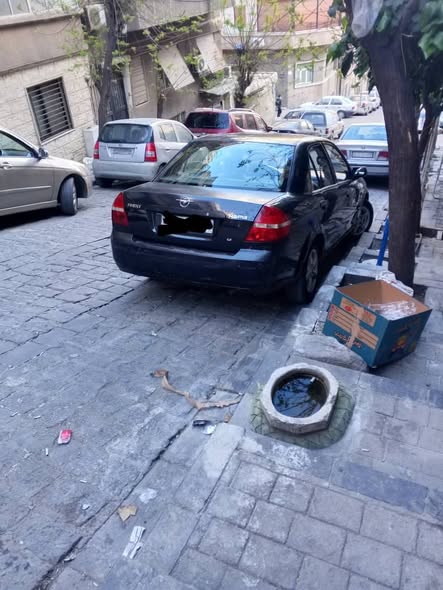 هايما فاملي 2008 - صورة 3