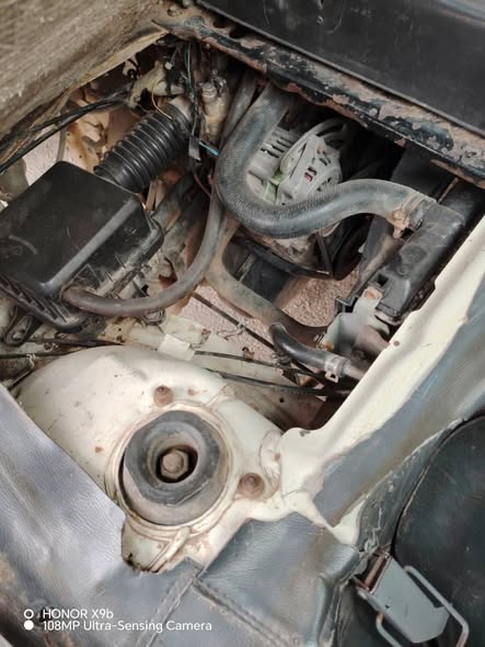 سونغ سونغ 2010 - صورة 4