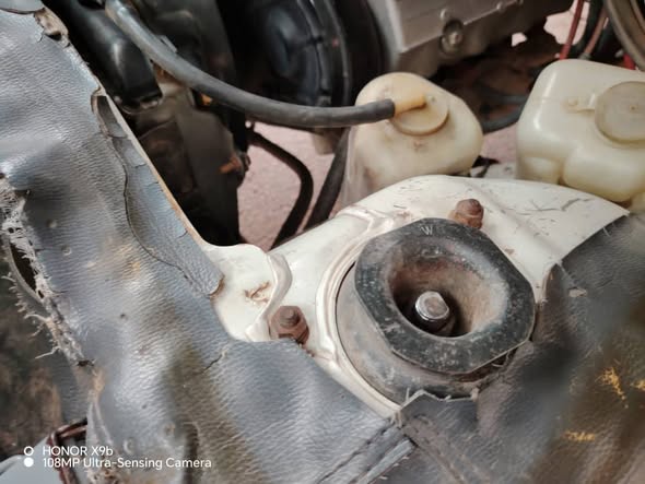 سونغ سونغ 2010 - صورة 5