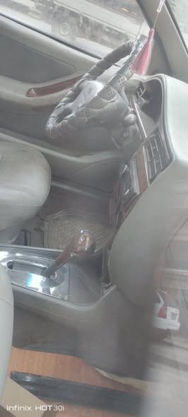 شيري شمعة 2007 - صورة 5